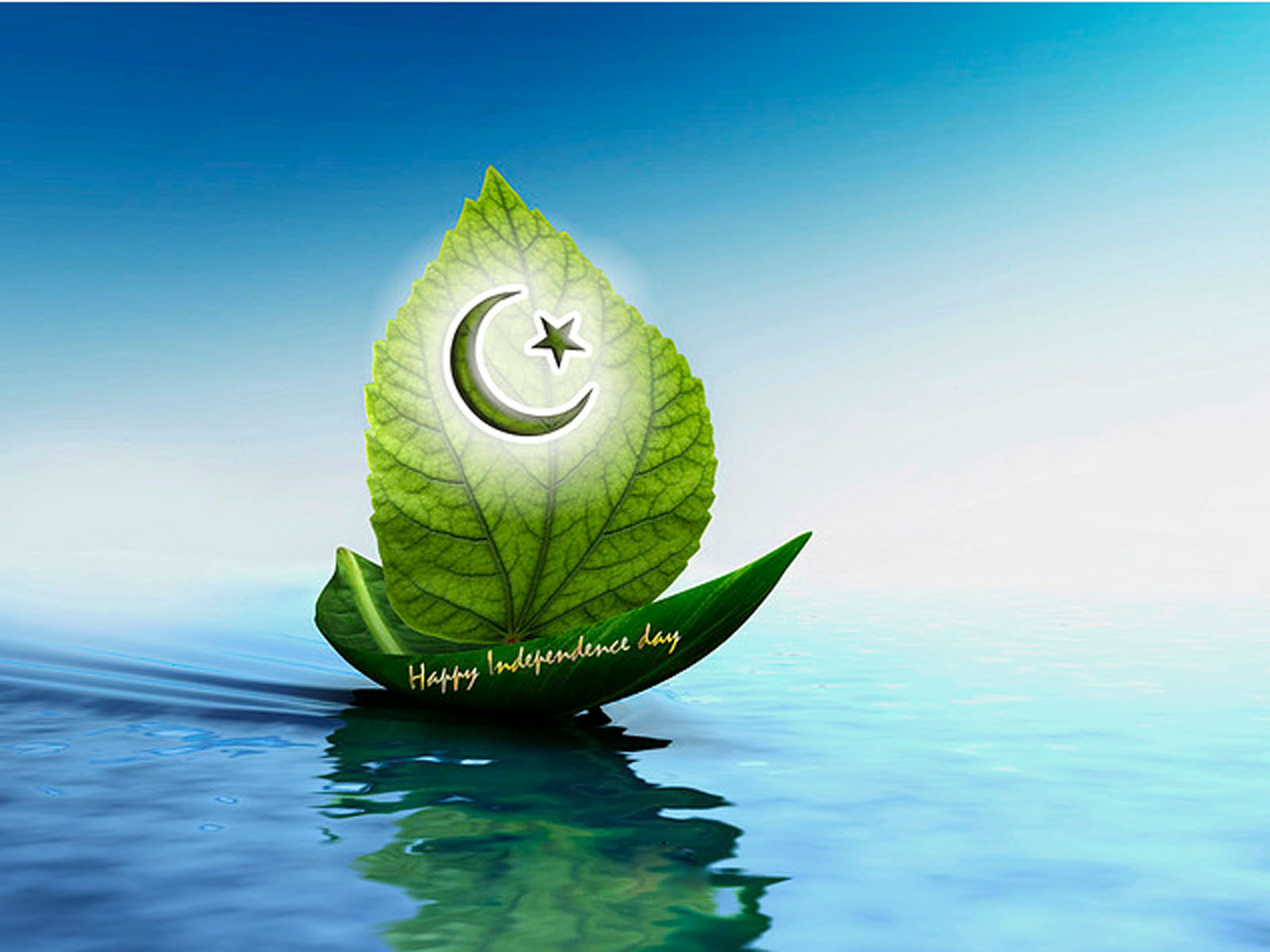 パキスタンの旗の壁紙,水,水資源,葉,空,工場