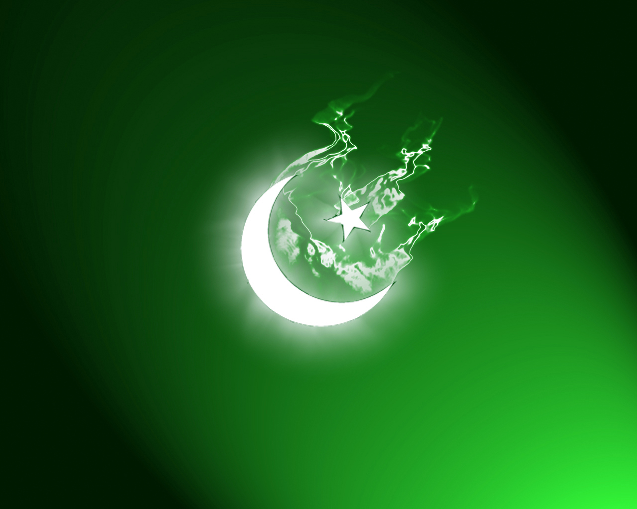 fond d'écran du drapeau du pakistan,vert,lumière,l'eau,feuille,la technologie