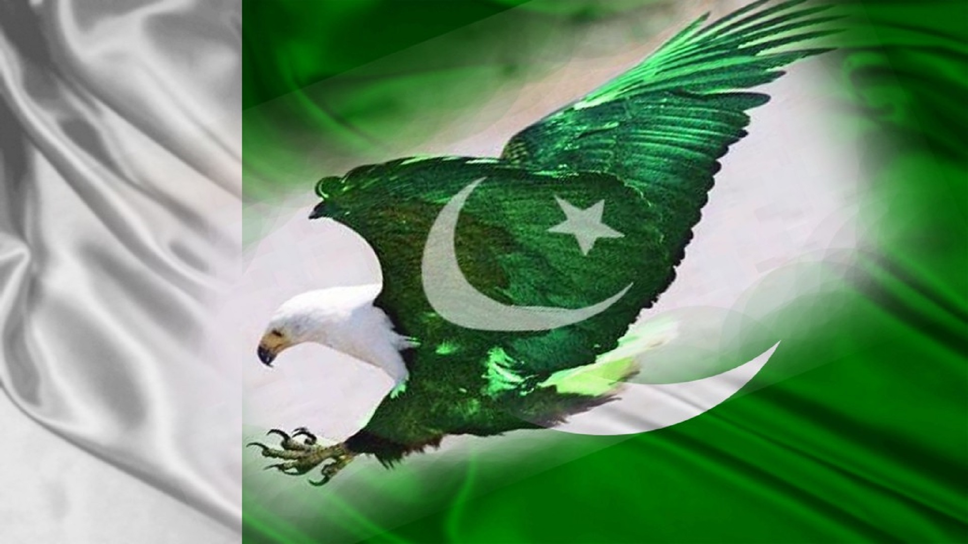 파키스탄 국기 벽지,새,초록,독수리,날개,상징