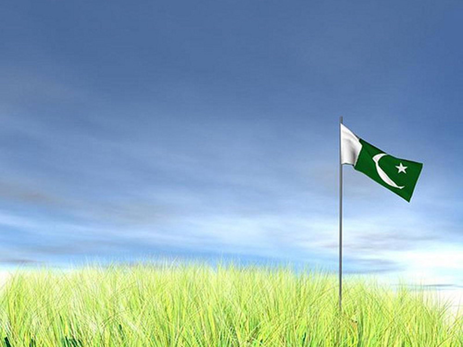 パキスタンの旗の壁紙,自然の風景,国旗,草原,空,草