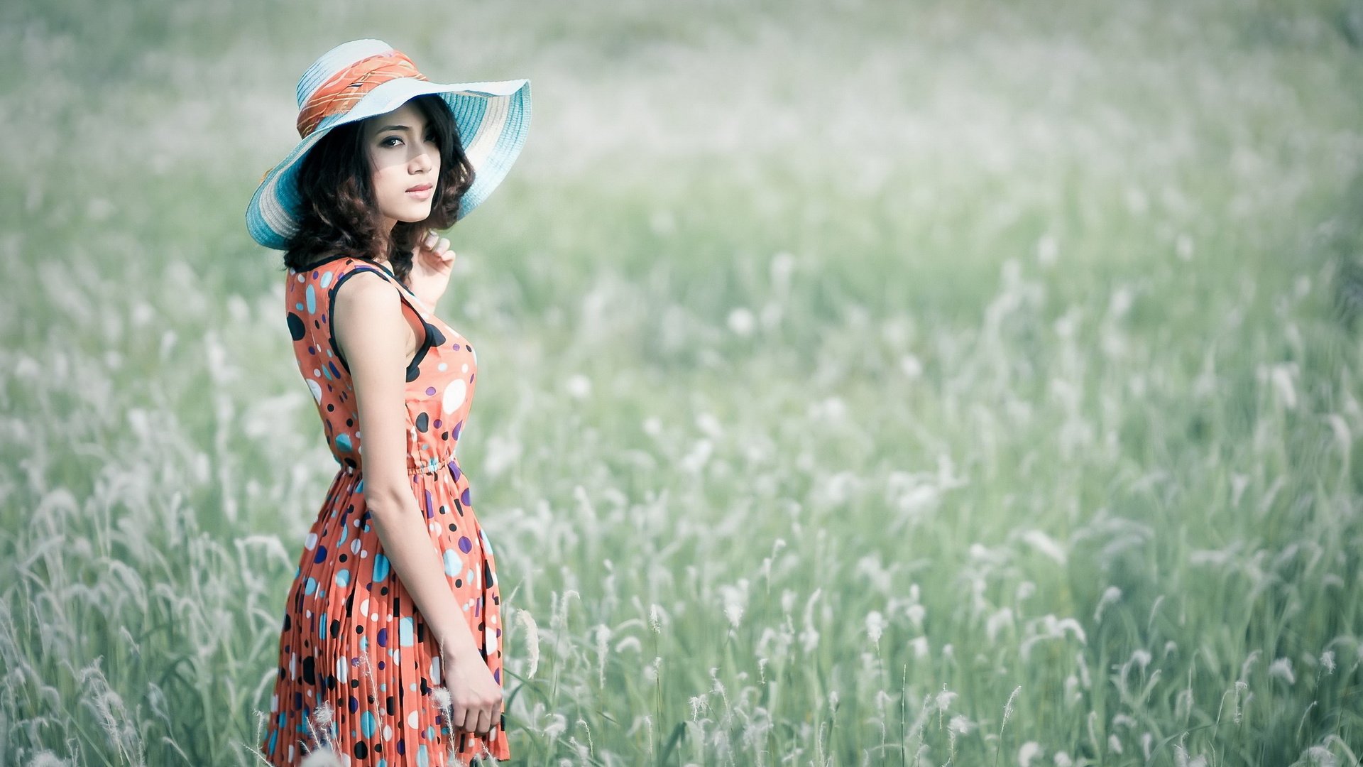 belle fille fond d'écran hd télécharger,la nature,prairie,beauté,herbe,prairie