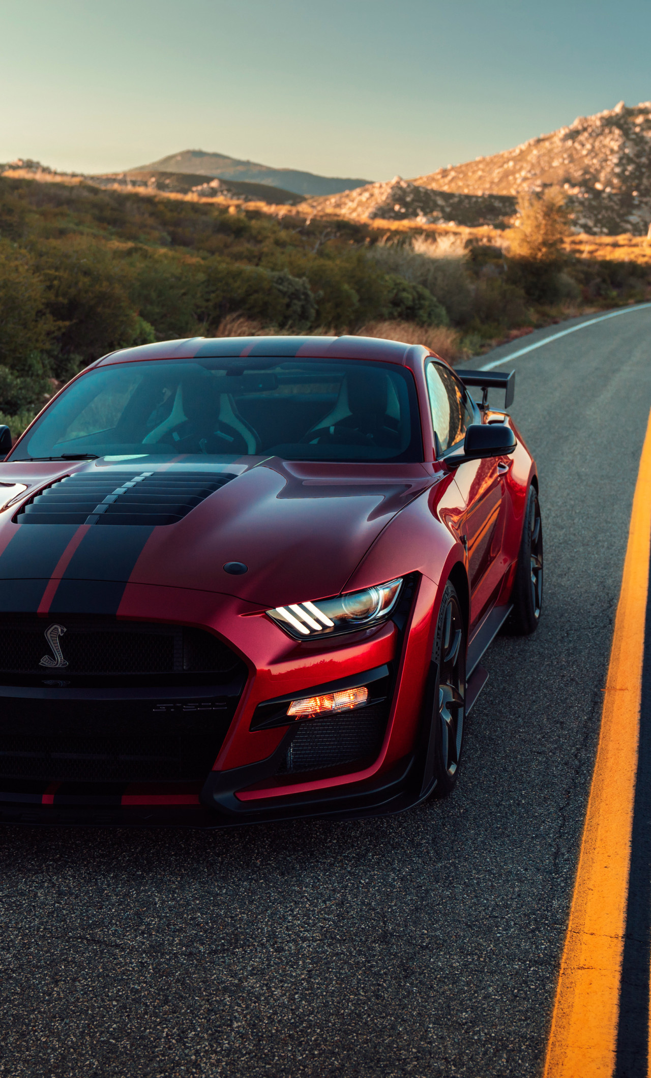 fond d'écran araba,véhicule terrestre,véhicule,voiture,shelby mustang,voiture de performance