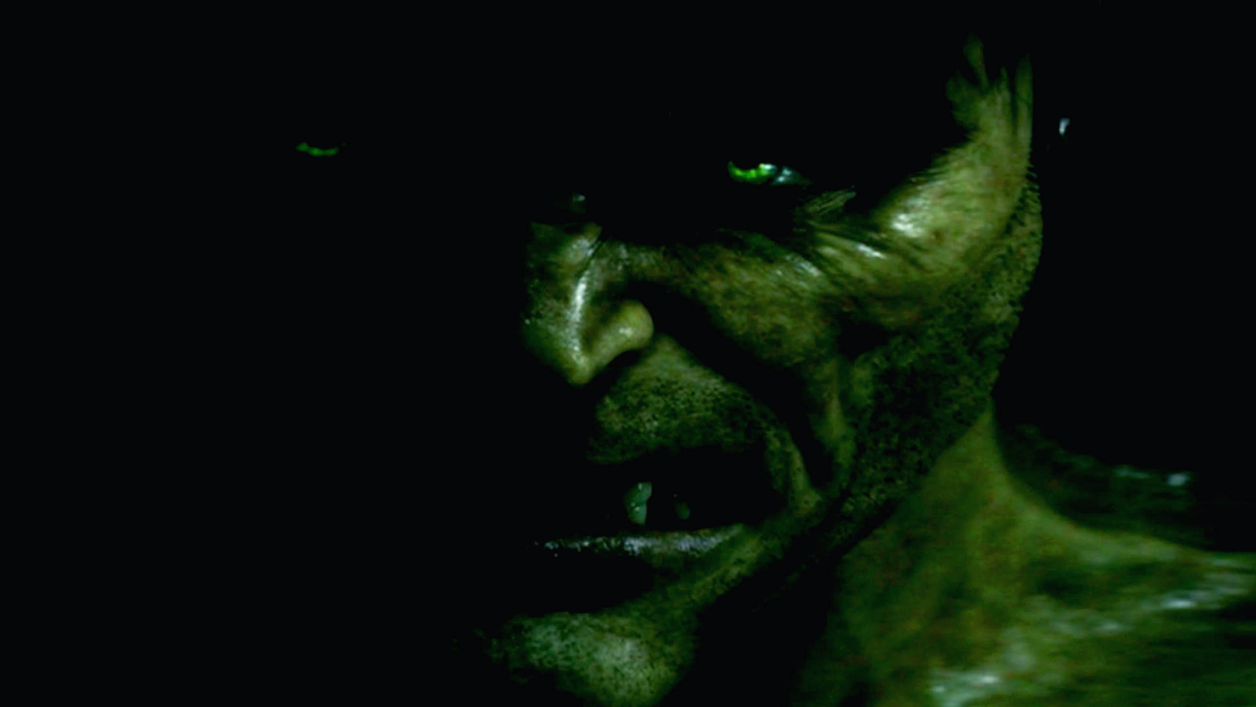 hulk live wallpaper,green,black,organism,darkness,fictional character