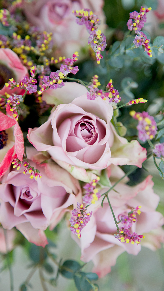 꽃 전화 벽지,꽃,분홍,정원 장미,꽃꽂이,장미