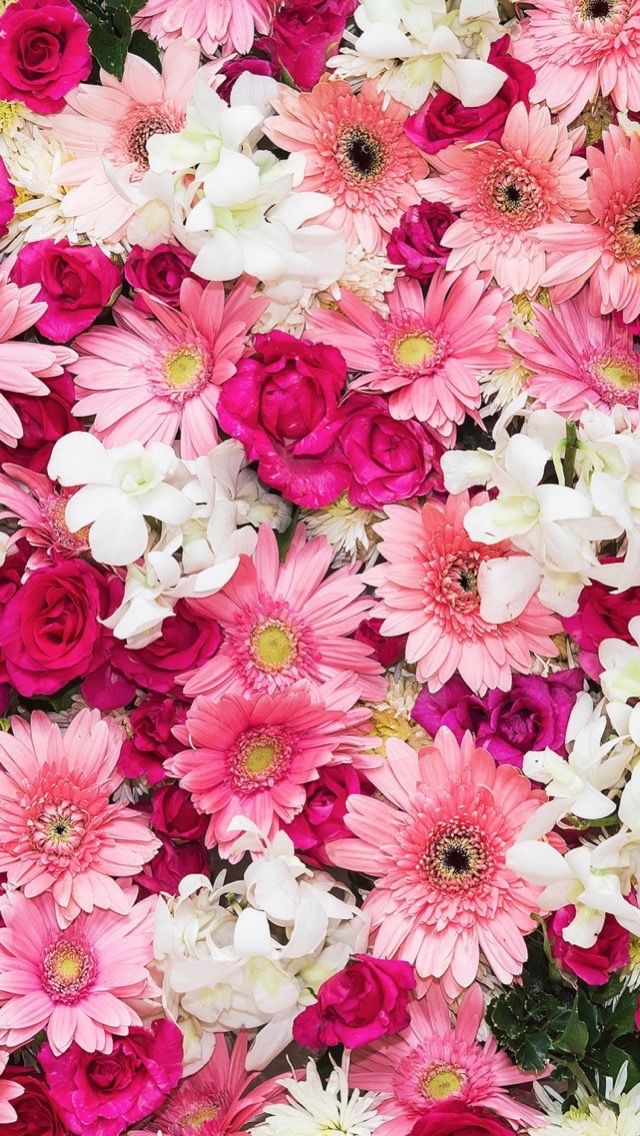 花の電話の壁紙,花,開花植物,工場,切り花,フラワーアレンジメント