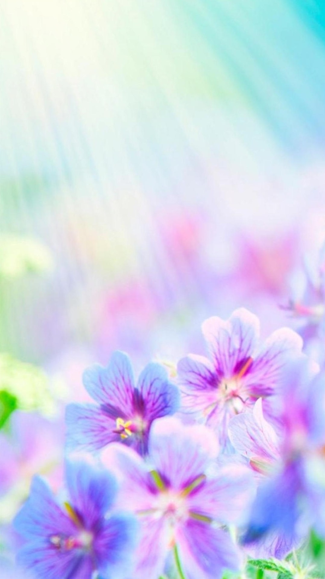 花の電話の壁紙,紫の,花,花弁,ピンク,バイオレット