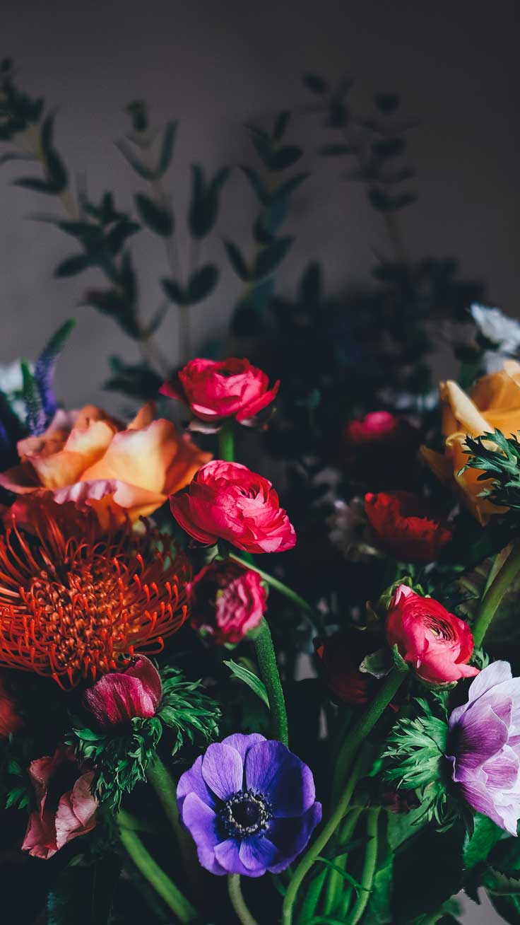 papel tapiz de teléfono de flores,flor,pétalo,naturaleza muerta,planta,fotografía de naturaleza muerta