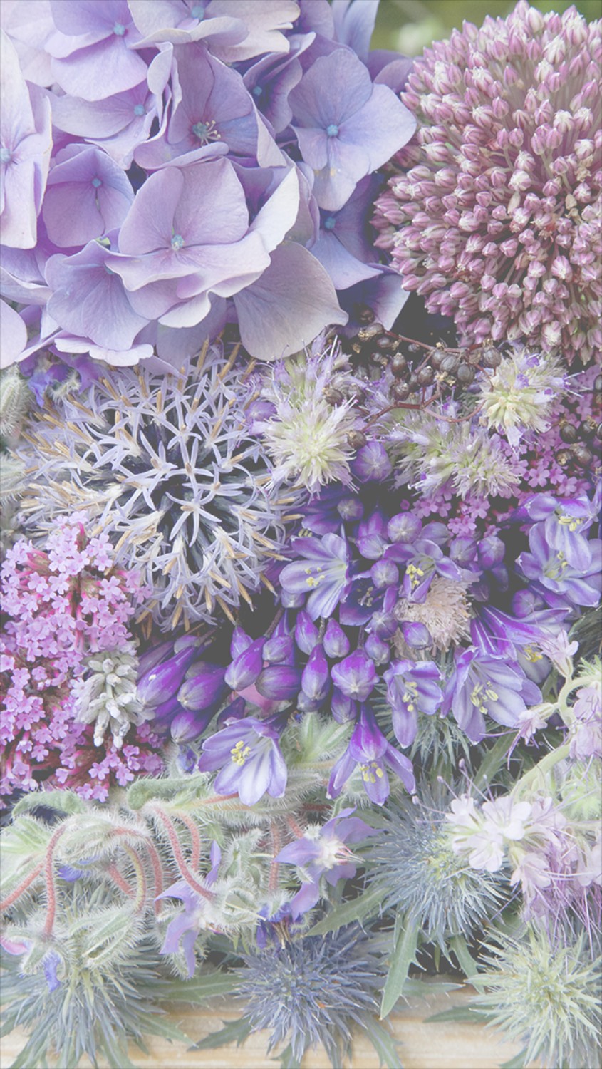 花の電話の壁紙,花,ライラック,ラベンダー,紫の,工場