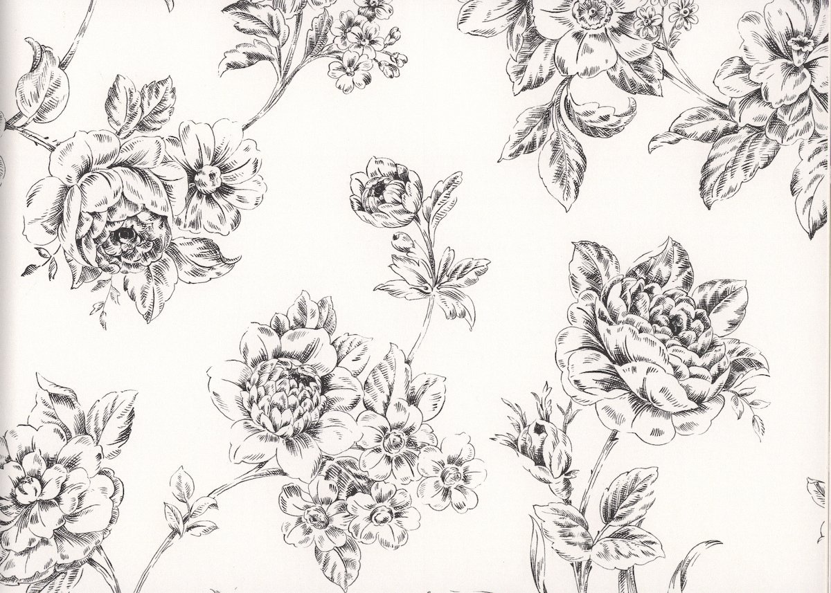 흑백 꽃 무늬 벽지,라인 아트,그림,검정색과 흰색,식물,꽃