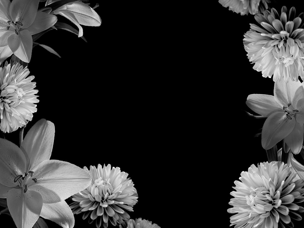 black and white floral wallpaper,black and white,monochrome photography,petal,flower,plant