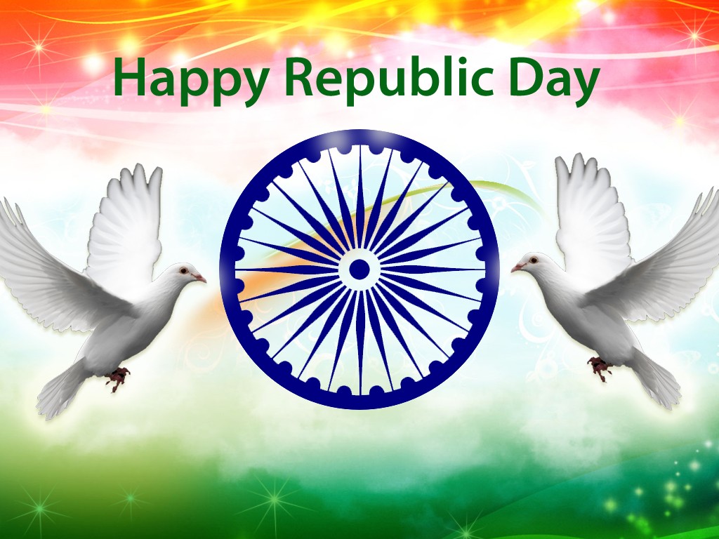 republic day wallpaper hd,rock dove,nature,pigeons and doves,bird,text