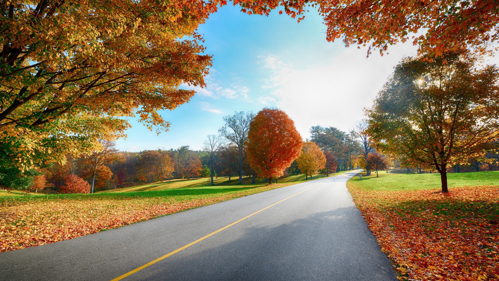 道路のhdの壁紙,自然の風景,木,葉,自然,秋