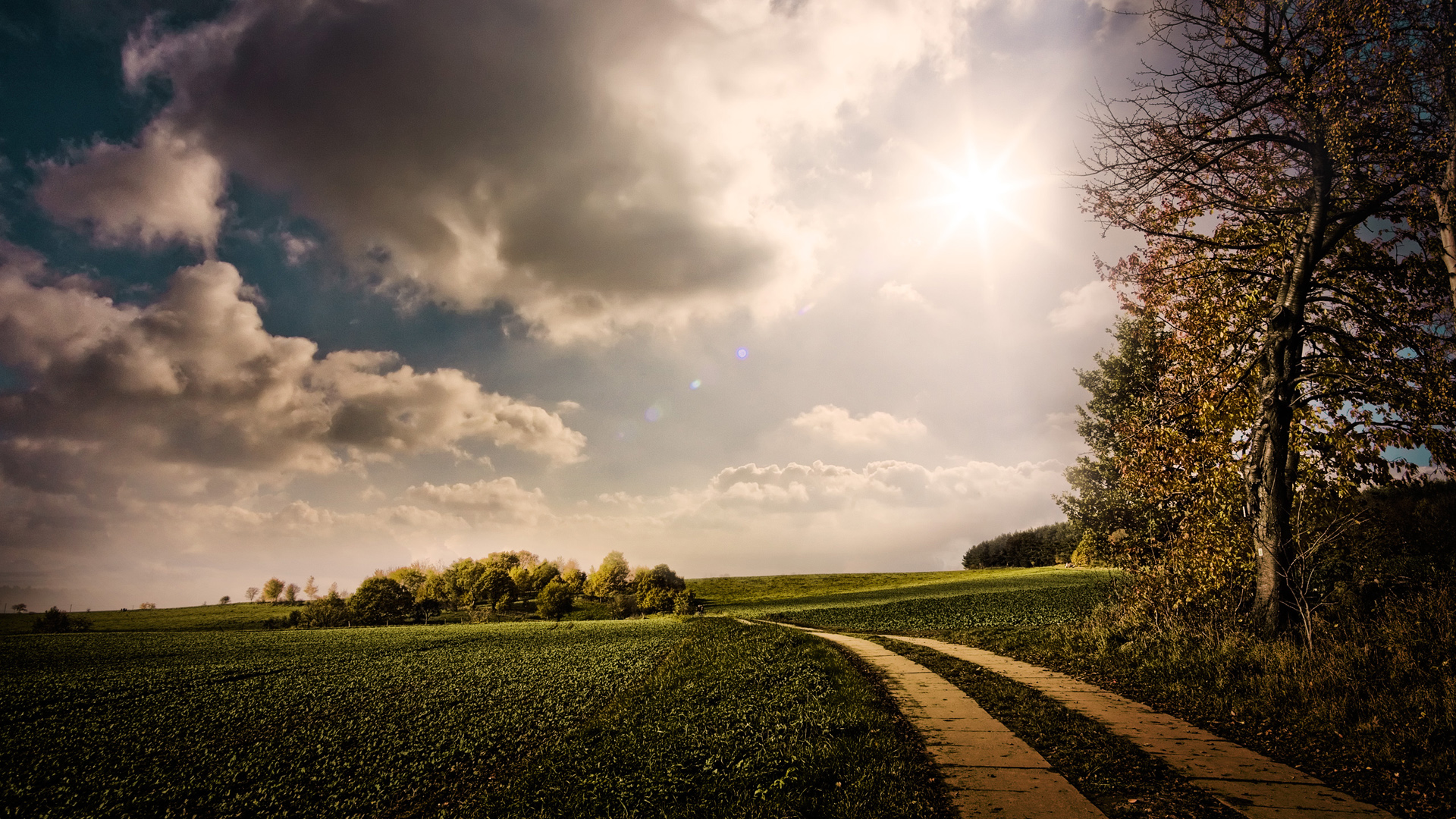 road hd wallpaper,sky,natural landscape,nature,cloud,field