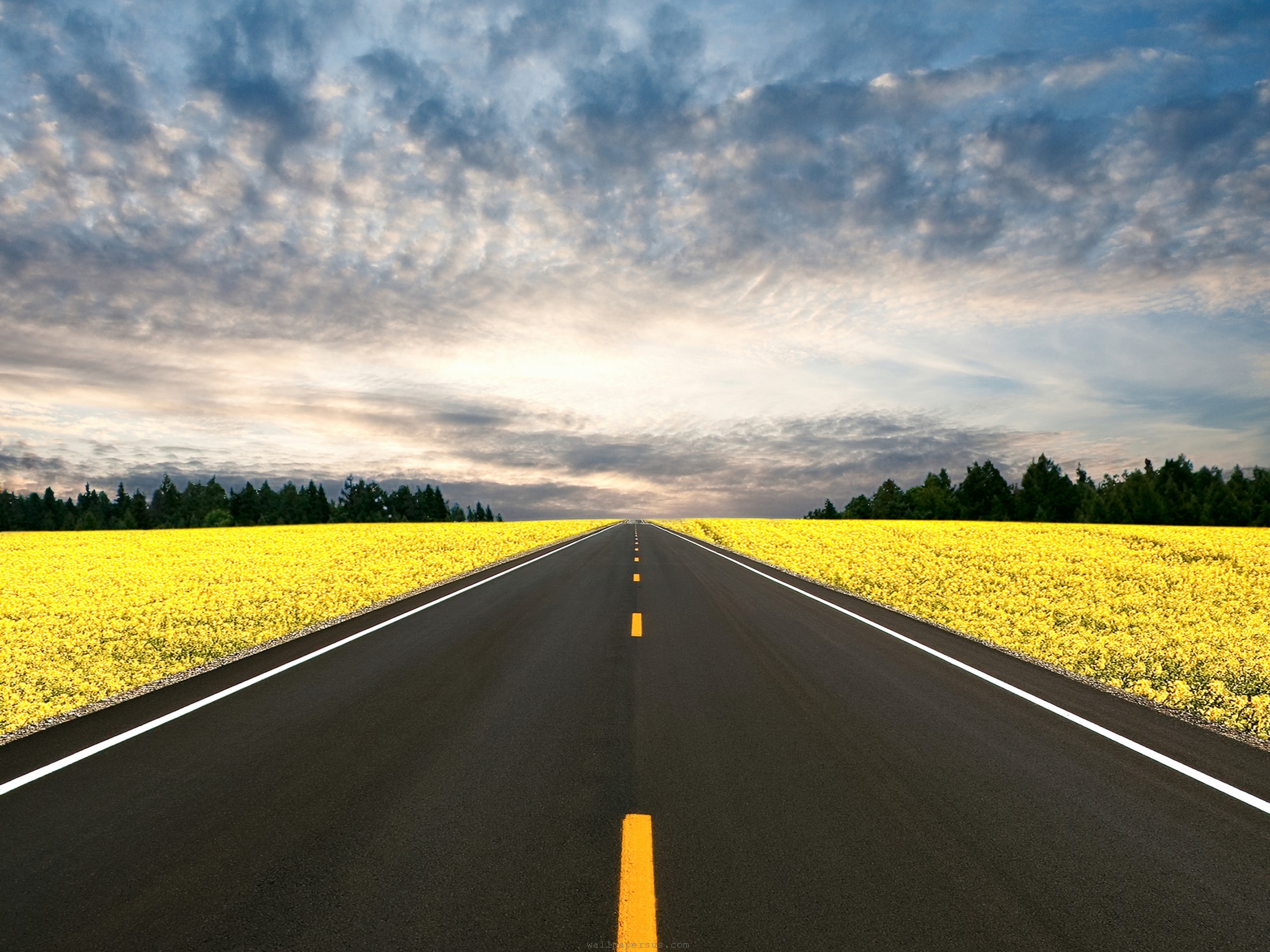 道路のhdの壁紙,道路,空,自然の風景,フィールド,地平線