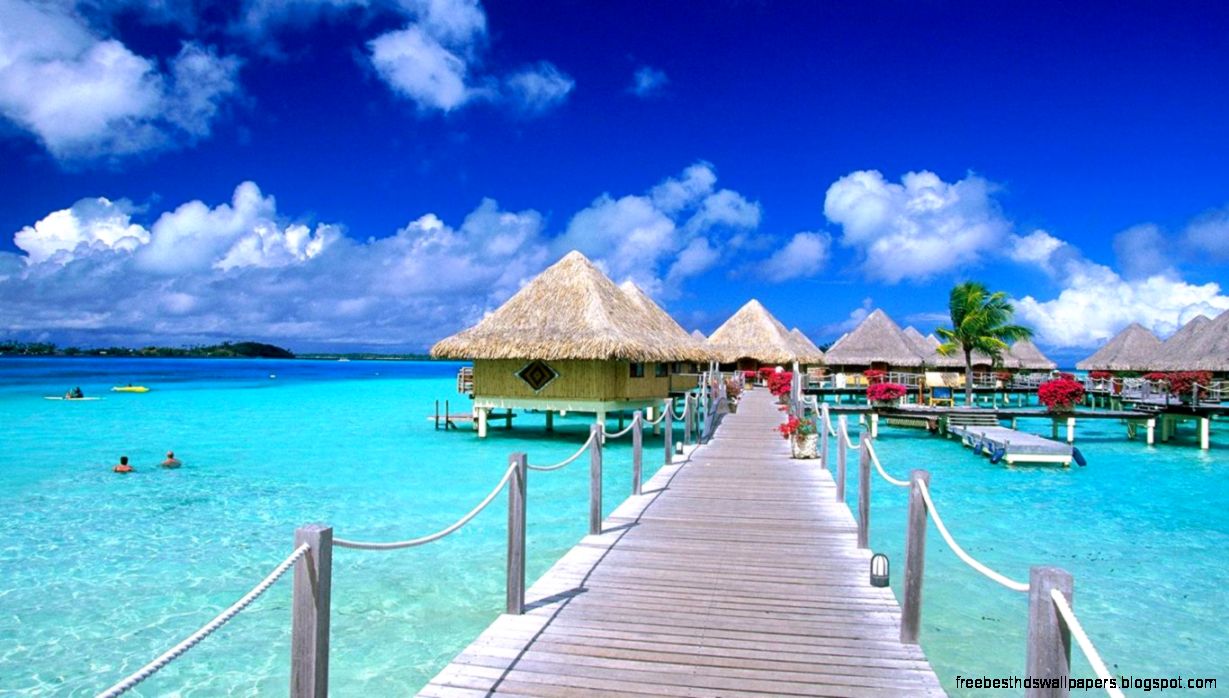 maldives wallpaper,caribbean,vacation,natural landscape,tourism,resort