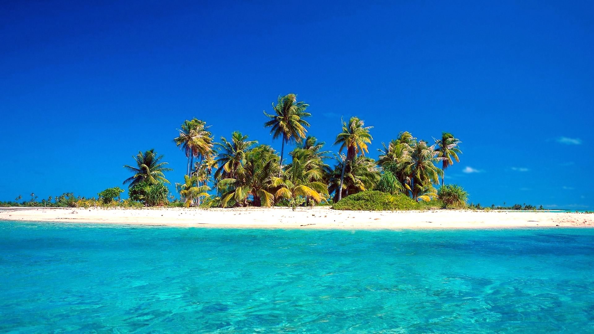 몰디브 벽지,바다,나무,섬,카리브해,자연 경관