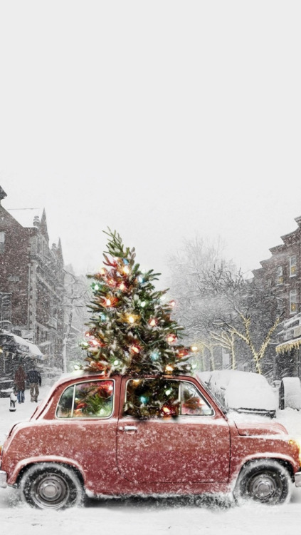 noël fond d'écran tumblr,véhicule à moteur,sapin de noël,voiture,véhicule,arbre