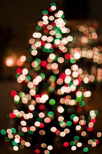 christmas wallpaper tumblr,christmas tree,christmas decoration,christmas ornament,oregon pine,christmas