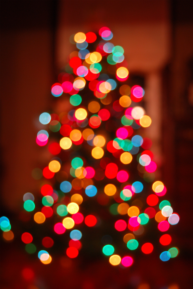 christmas wallpaper tumblr,christmas tree,christmas decoration,tree,christmas ornament,christmas