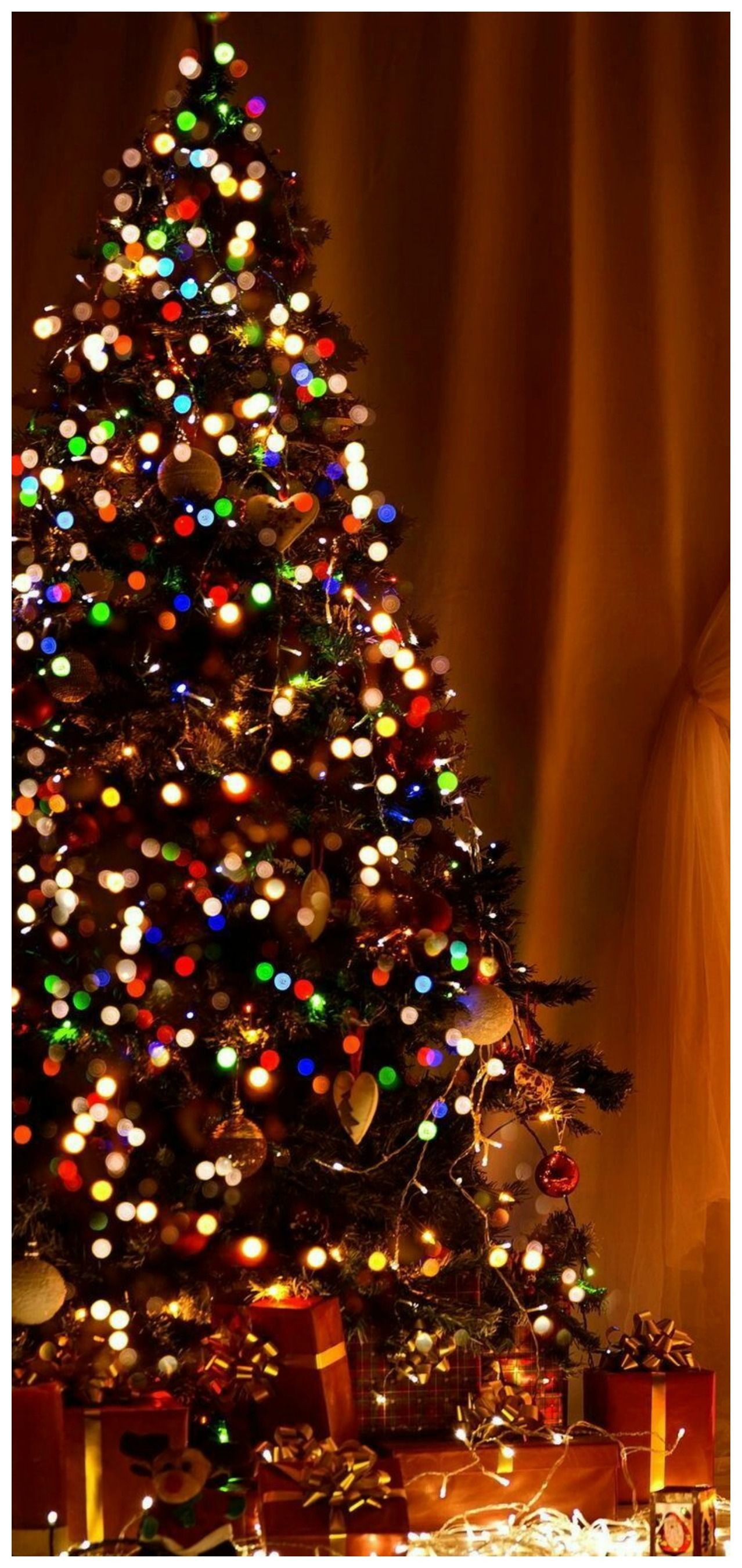 christmas wallpaper tumblr,christmas tree,christmas decoration,tree,christmas ornament,oregon pine