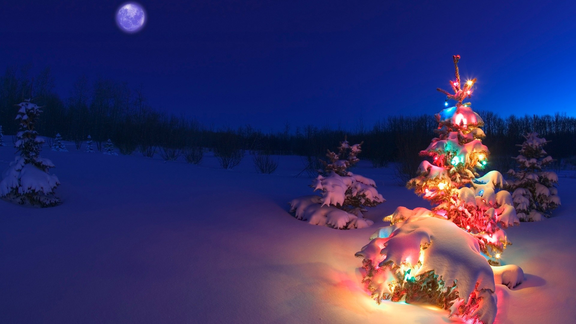 wallpaper weihnachten,nature,christmas tree,winter,sky,christmas
