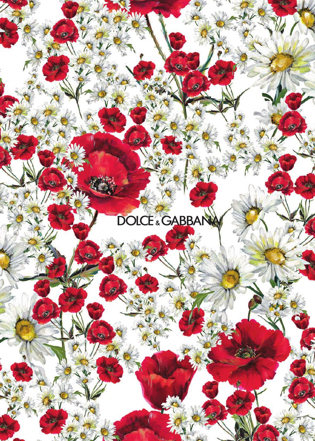 carta da parati dolce e gabbana,fiore,rosso,pianta,petalo,tagliare i fiori