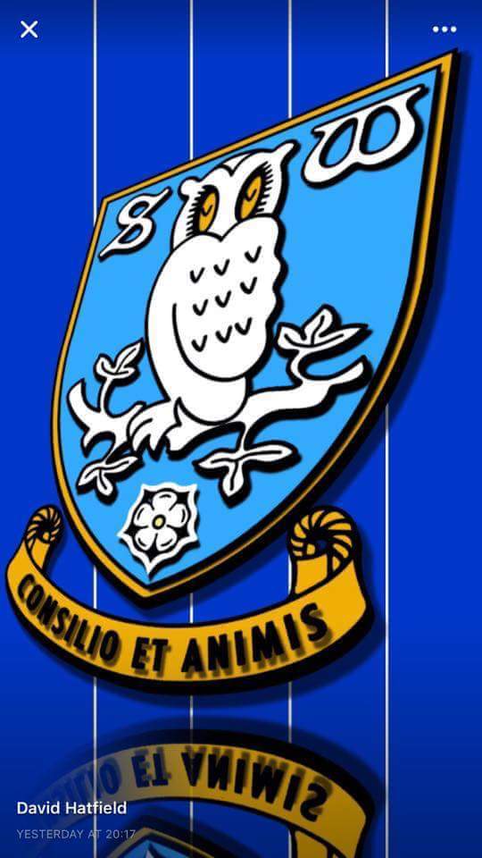 sheffield wednesday wallpaper,banner,emblem,logo,signage