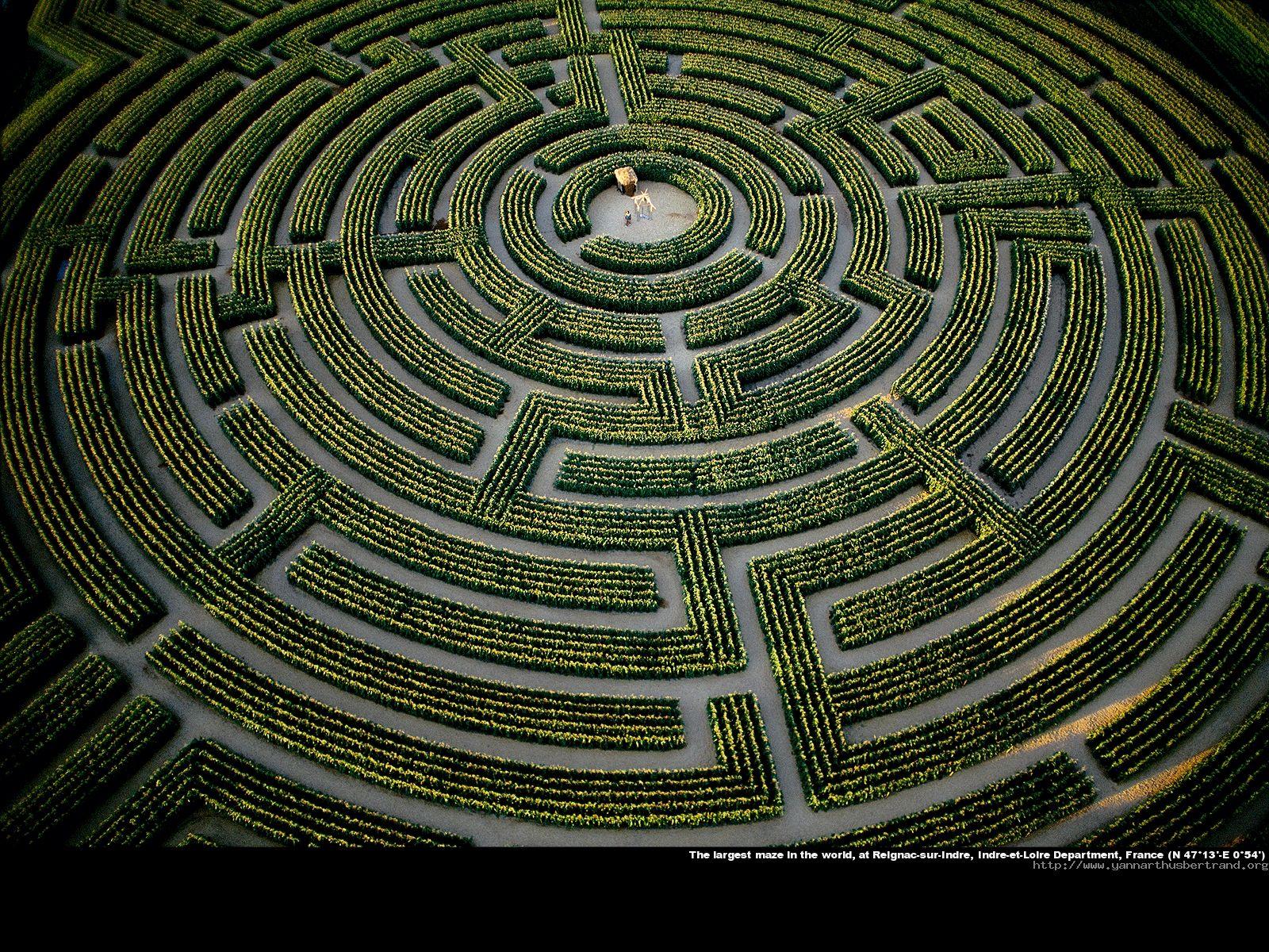 carta da parati labirinto,modello,simmetria,spirale,design,cerchio