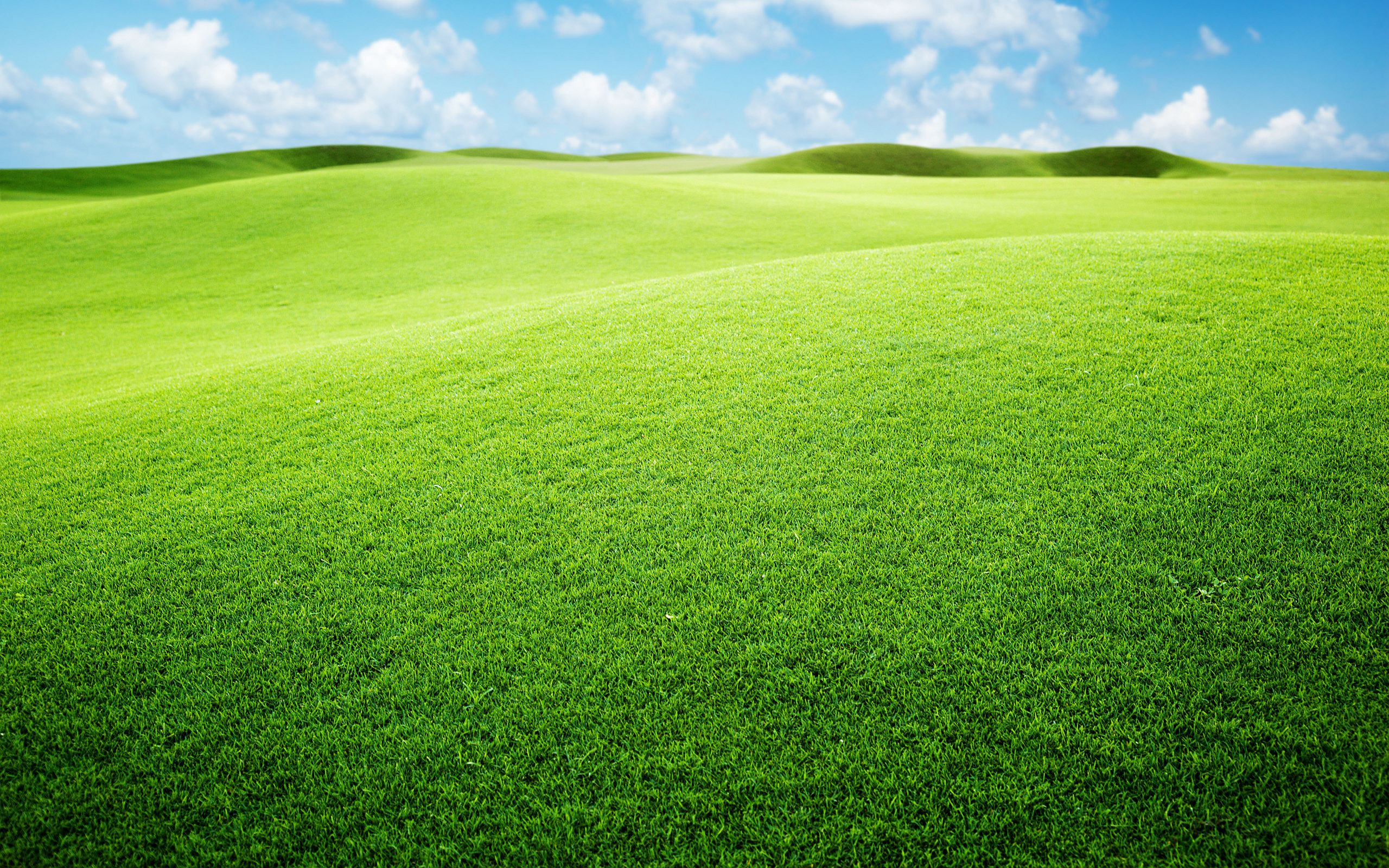 tierra de papel tapiz,pradera,verde,césped,naturaleza,campo
