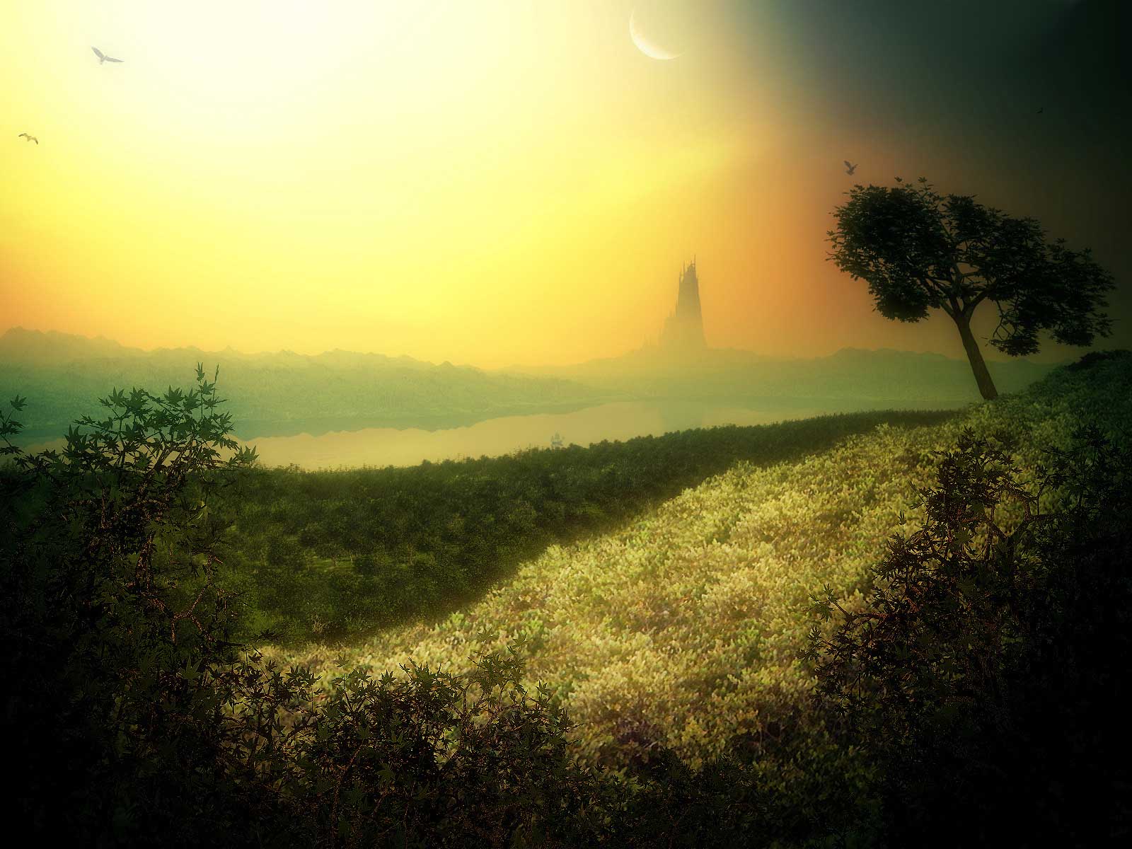 tapetenland,himmel,natur,natürliche landschaft,morgen,grün