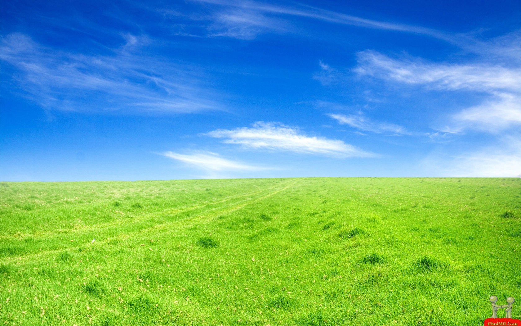 wallpaper land,grassland,green,sky,natural landscape,nature