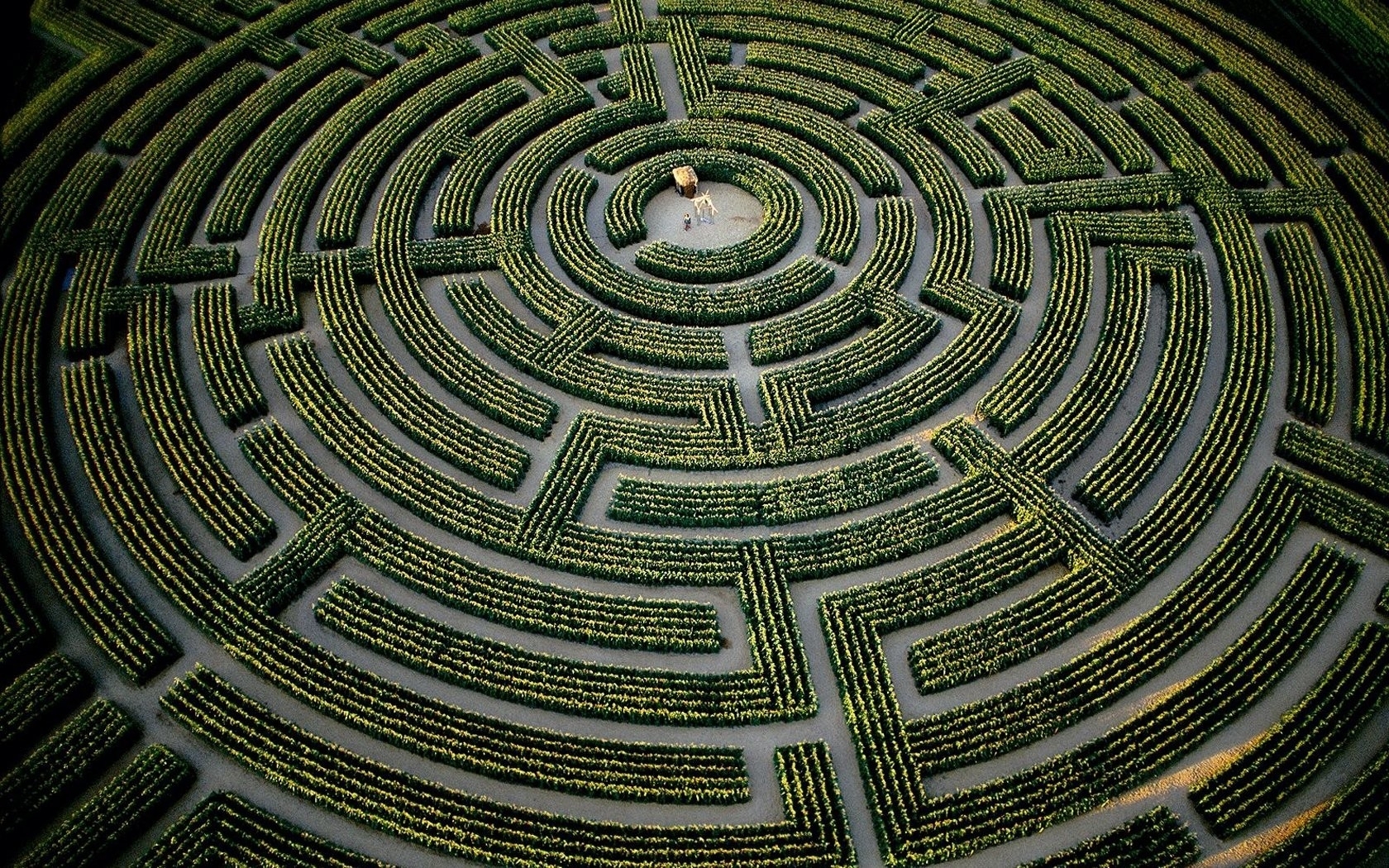 maze wallpaper,green,maze,labyrinth,water,symmetry