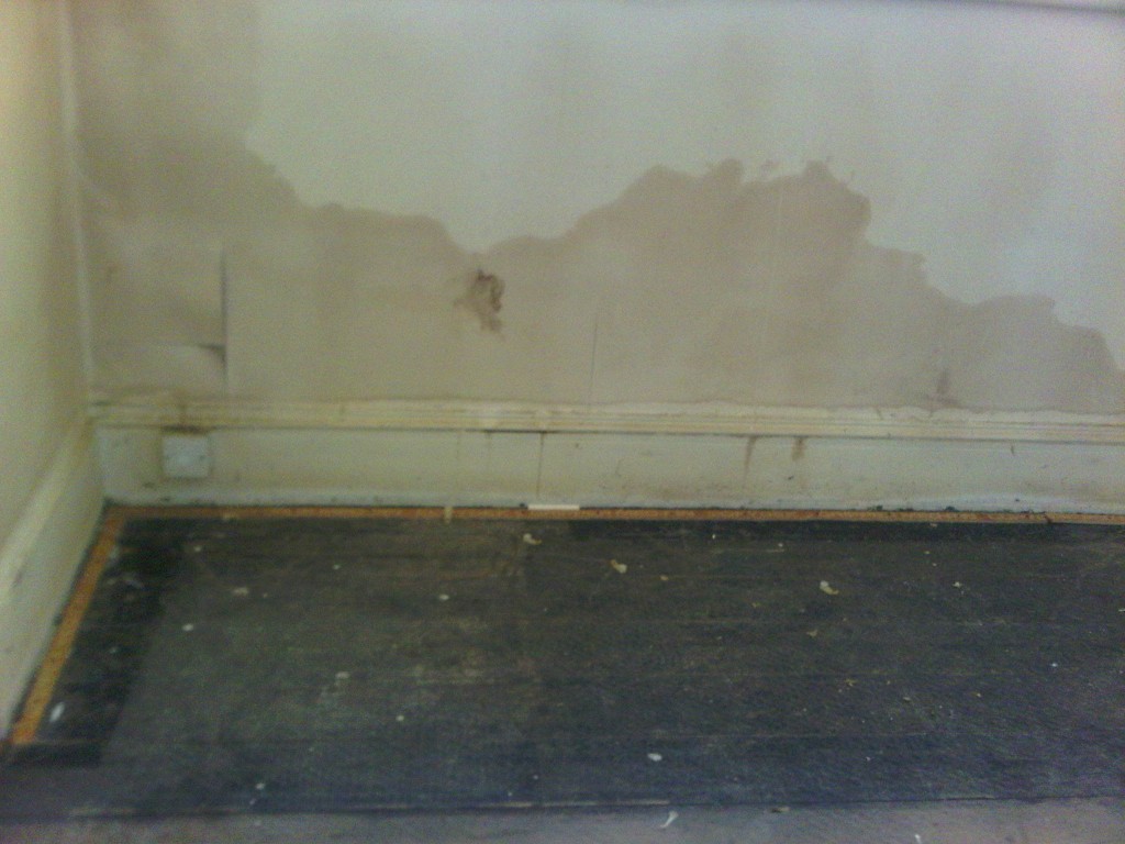 damp wallpaper,floor,flooring,room,wood,hardwood