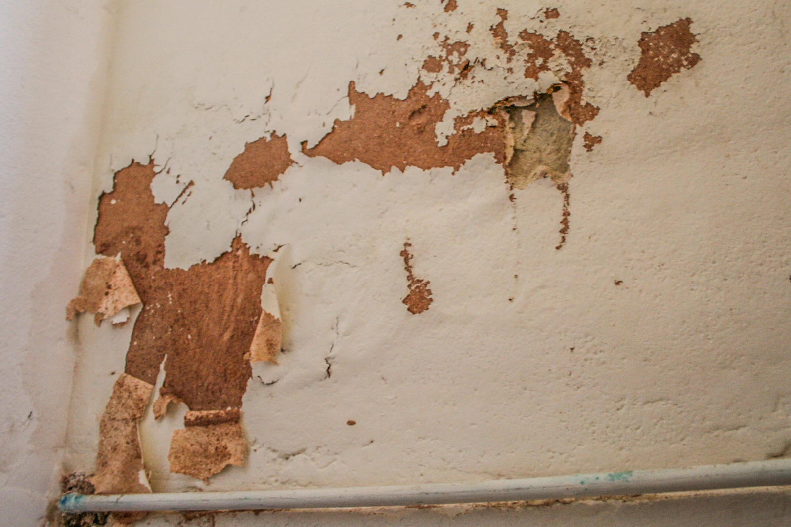 Rising Damp Signs Blistering And Peeling On Wall WallpaperUse