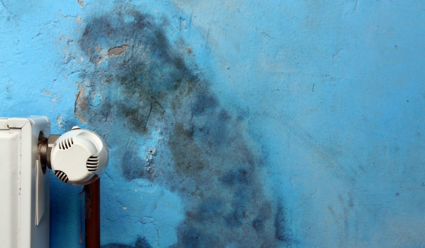 damp wallpaper,blue,wall,paint,door handle,rust