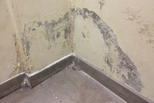 damp wallpaper,wall,mold,plaster,room,cement