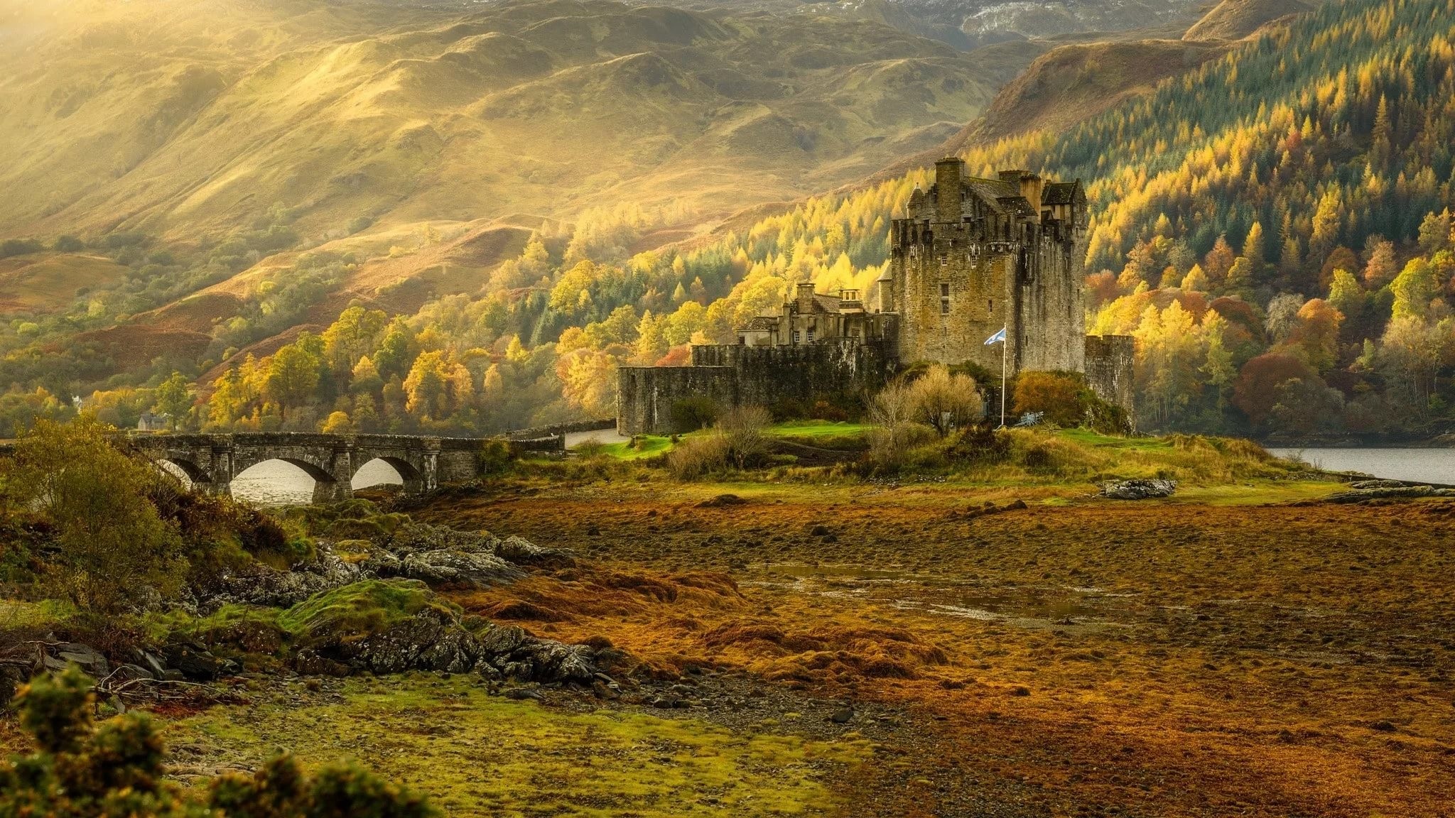 scottish themed wallpaper,natural landscape,nature,highland,painting,hill