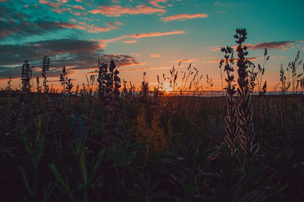 خلفيات wallpaper,sky,nature,natural landscape,afterglow,red sky at morning