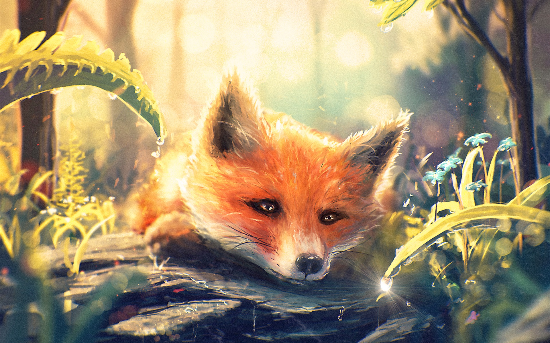 fox art wallpaper,red fox,canidae,fox,wildlife,kit fox