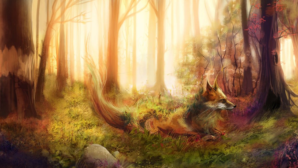 fox art wallpaper,nature,forest,woodland,natural environment,sunlight