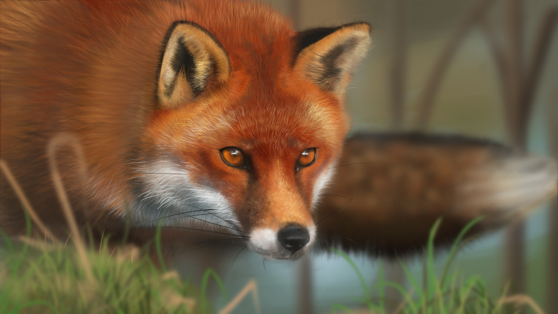 fox art wallpaper,red fox,mammal,fox,vertebrate,canidae