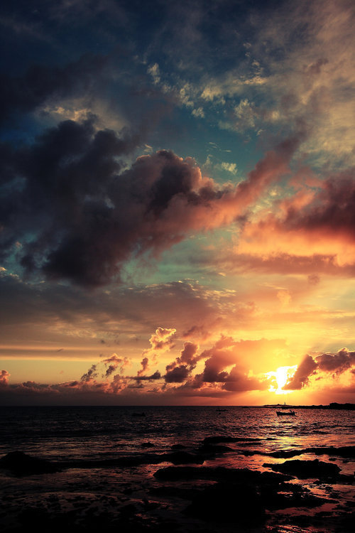 tumblr写真壁紙,空,地平線,自然,日の出,日没