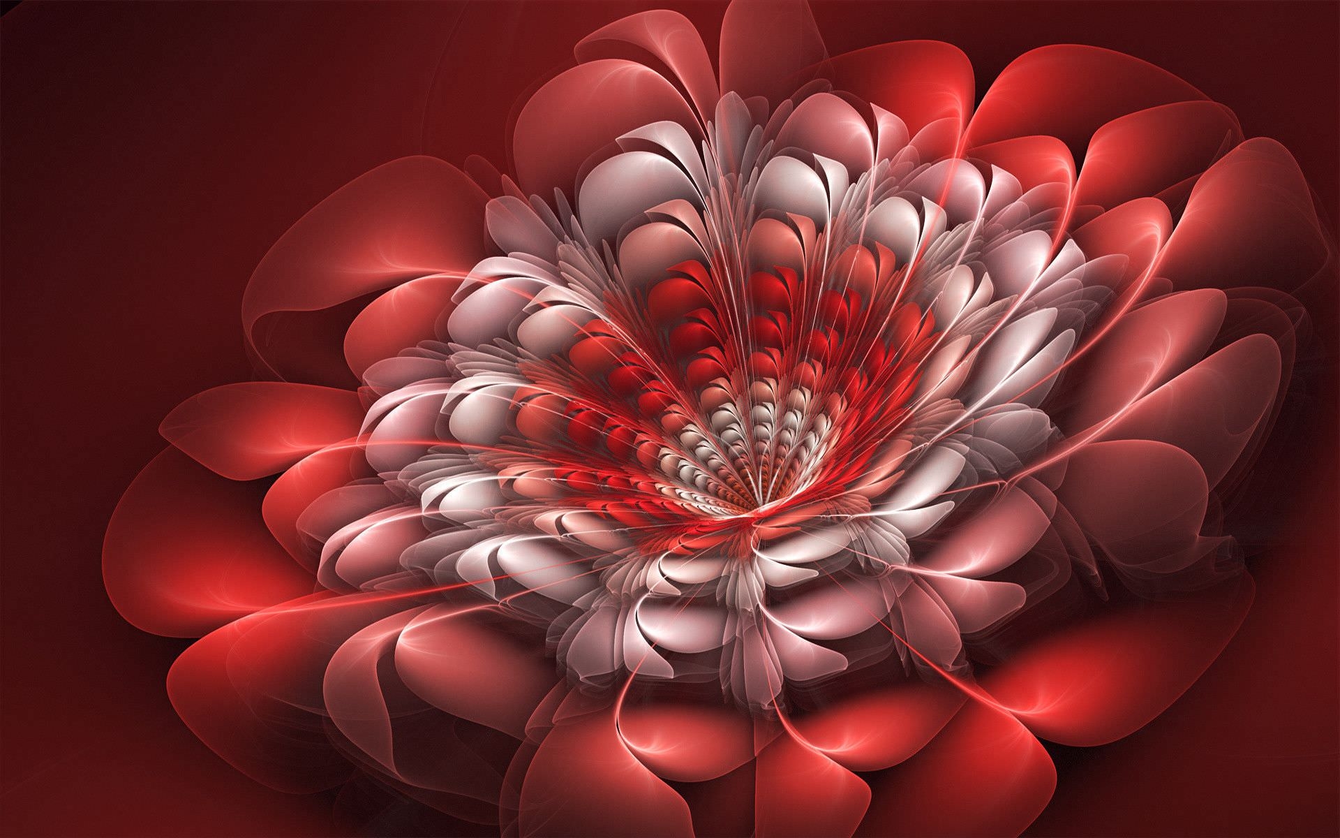 3d art wallpaper,fractal art,red,petal,flower,heart