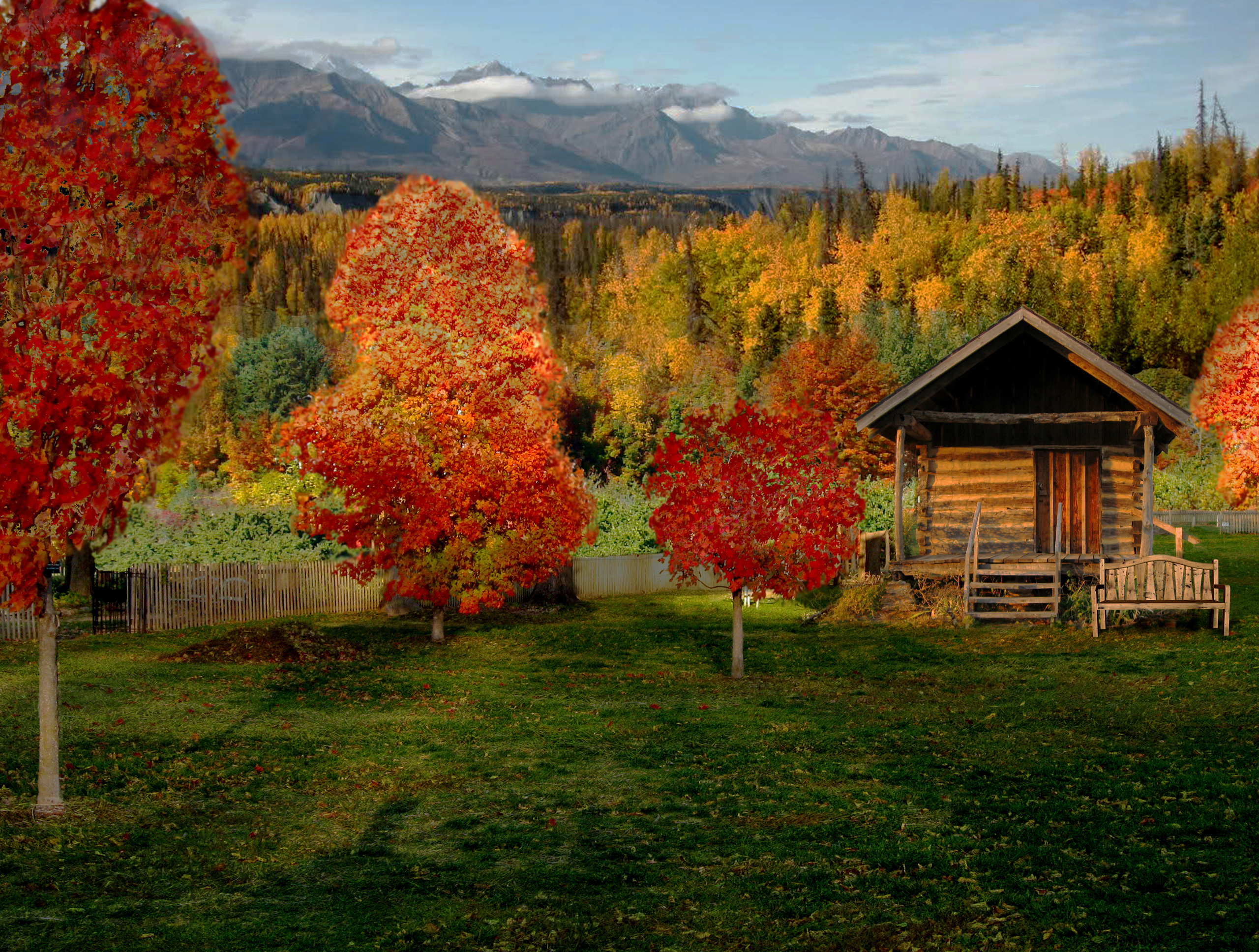 cabin wallpaper,nature,natural landscape,leaf,tree,autumn