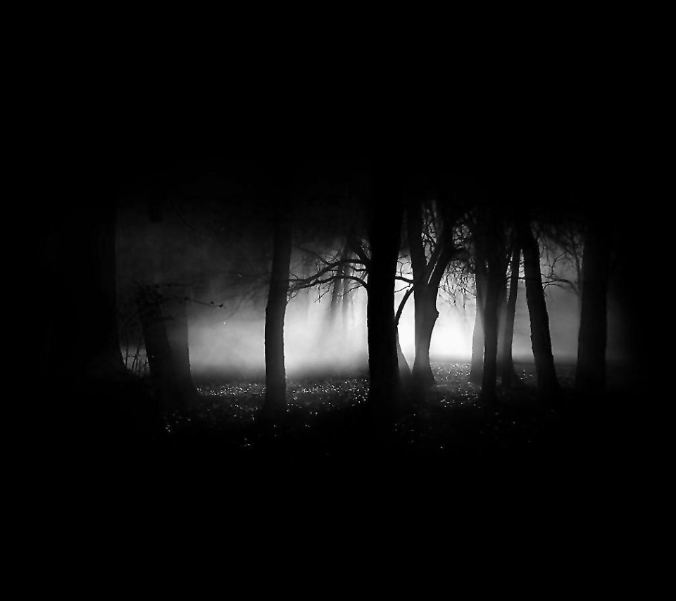 dark tree wallpaper,black,darkness,white,nature,black and white