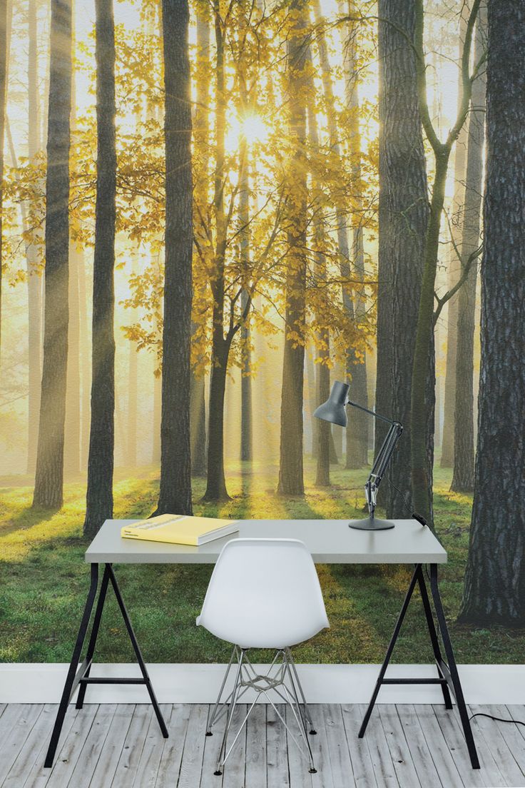 tree design wallpaper,nature,furniture,table,tree,wallpaper