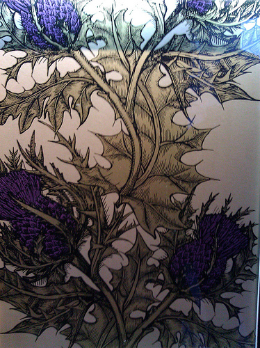 スコットランドのアザミの壁紙,工場,花,紫の,葉,パターン