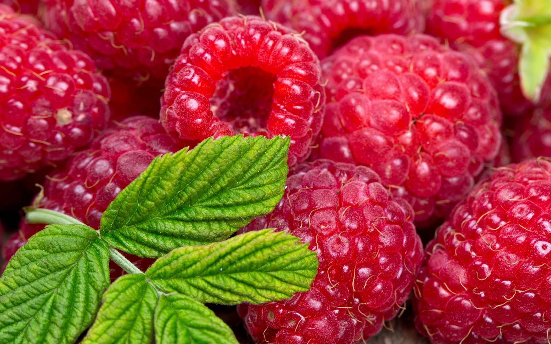 raspberry wallpaper,natural foods,berry,fruit,raspberry,frutti di bosco