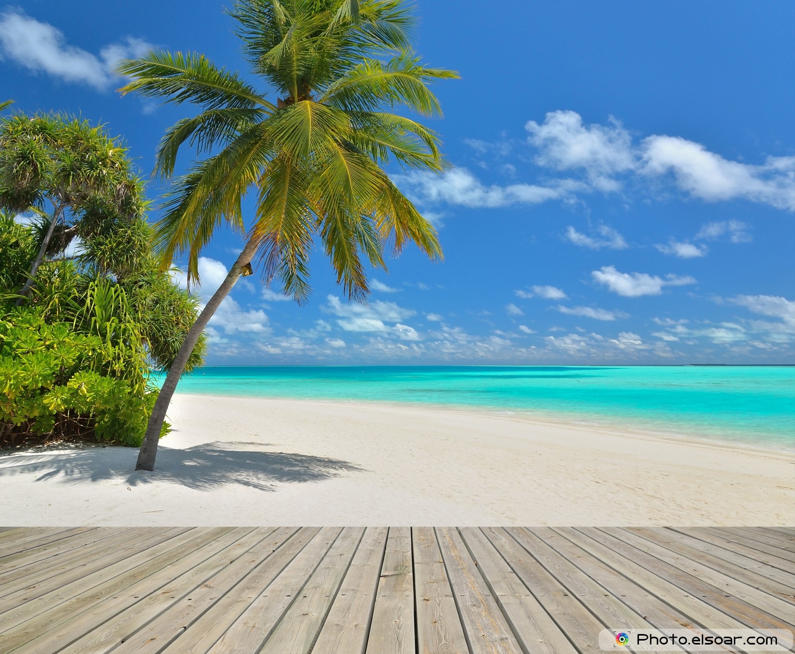 carta da parati capanna sulla spiaggia,natura,albero,paesaggio naturale,caraibico,riva