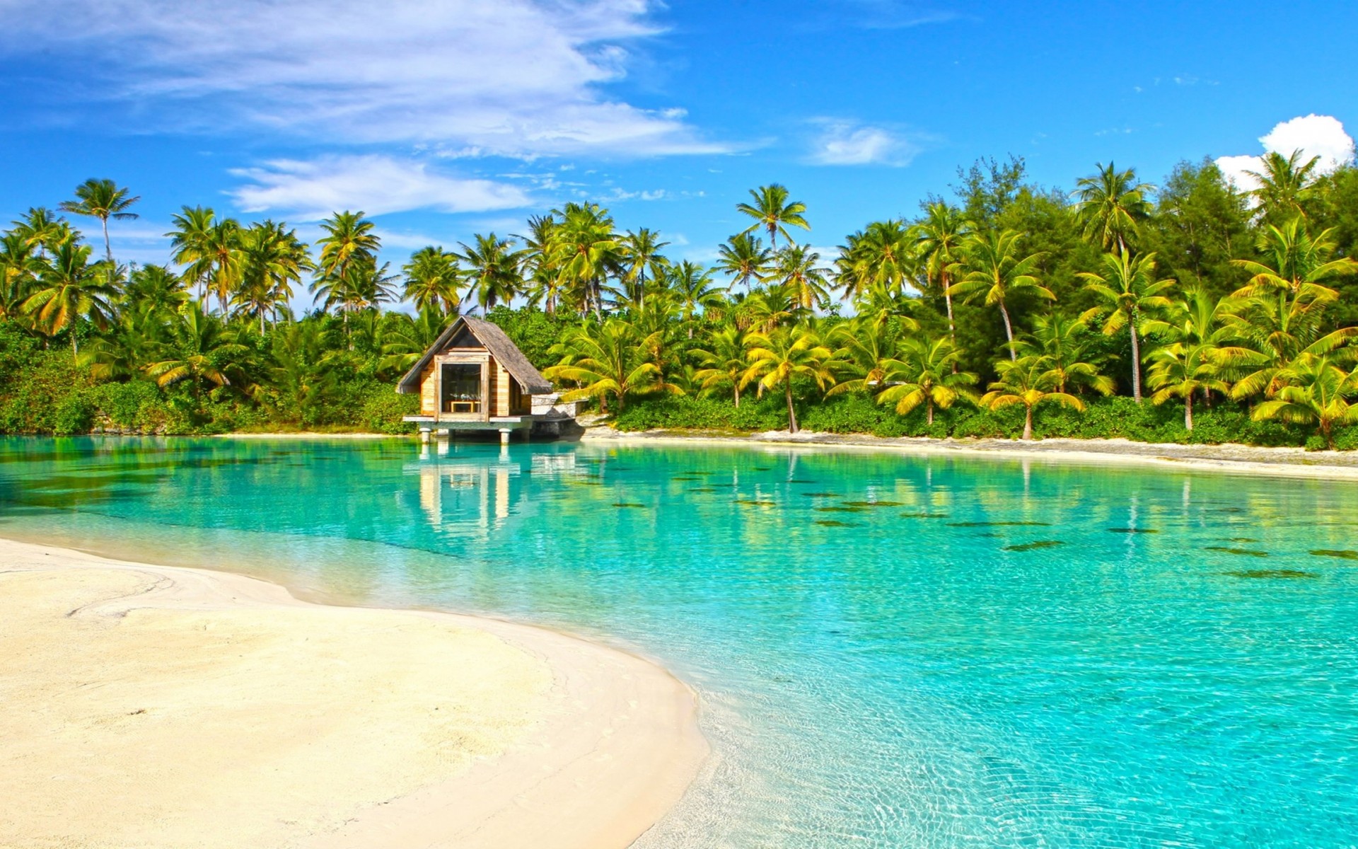 carta da parati capanna sulla spiaggia,piscina,ricorrere,caraibico,vacanza,paesaggio naturale